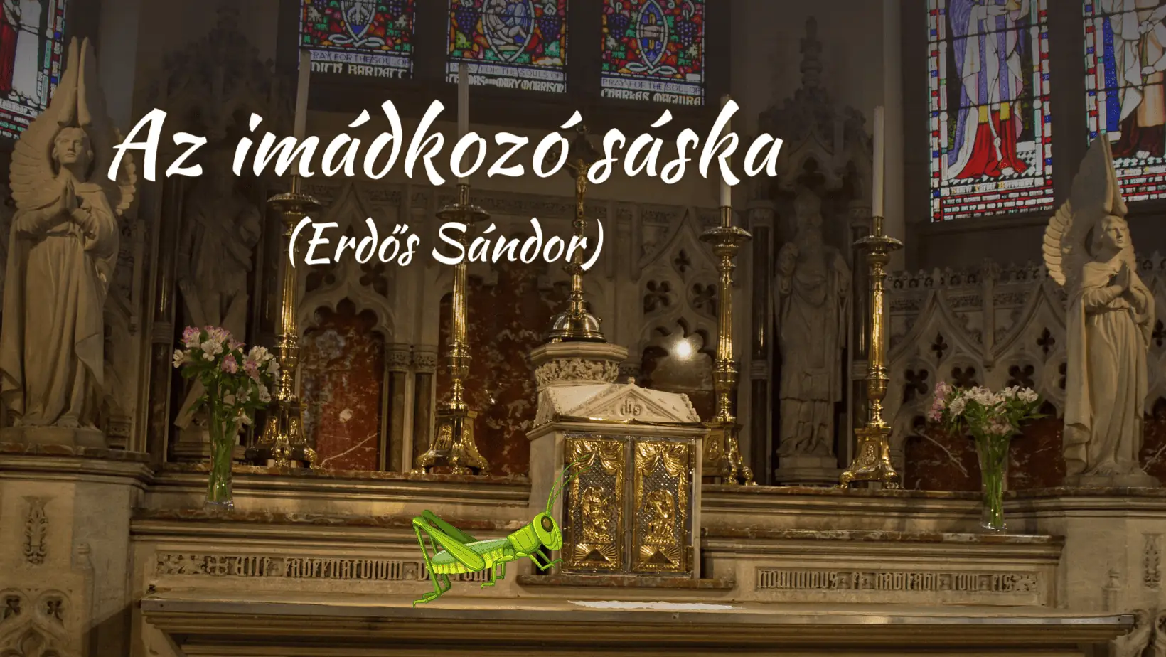 Az imádkozó sáska (Erdős Sándor) - Mesélek Neked